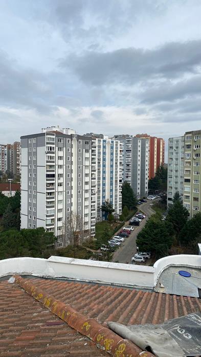 Rolisan Yapı